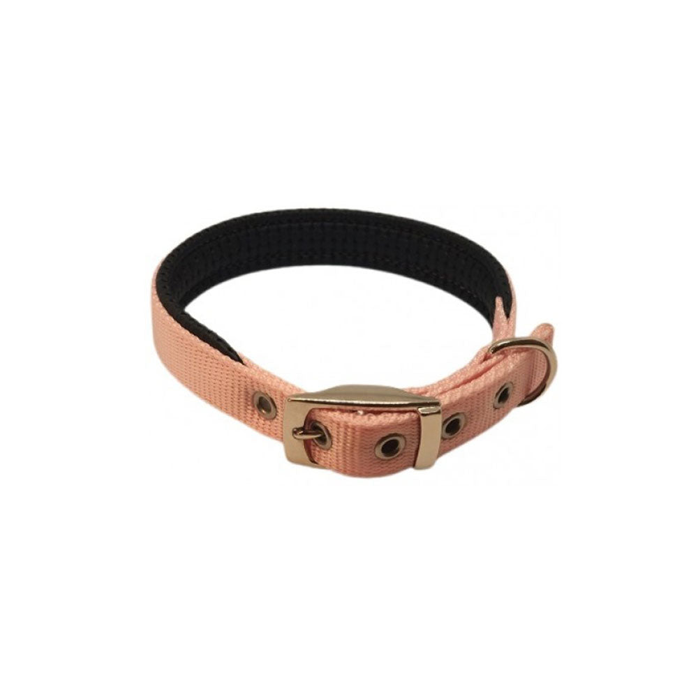 Nylon Padded Collar (Pink)