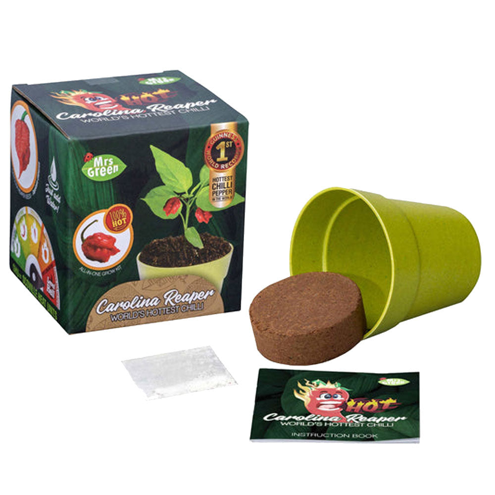 Mrs. Green Whimsy Garden Plant Kit