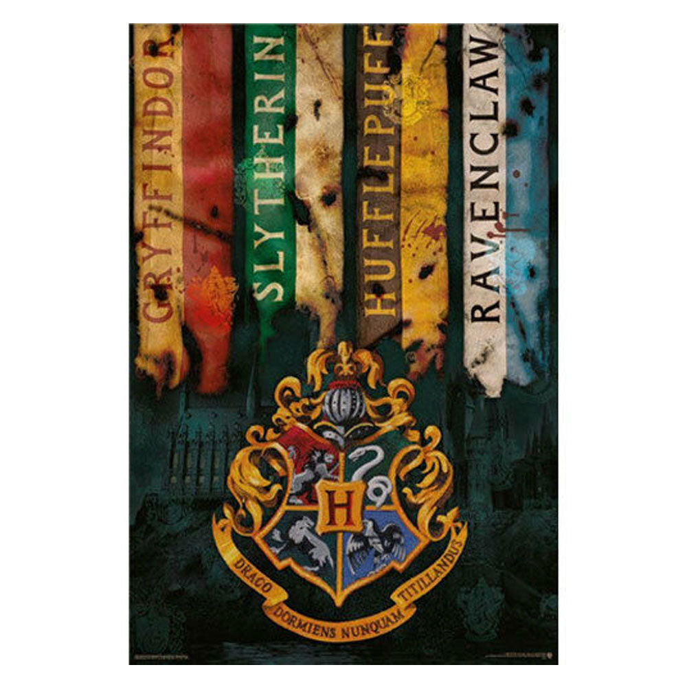 Poster di Harry Potter