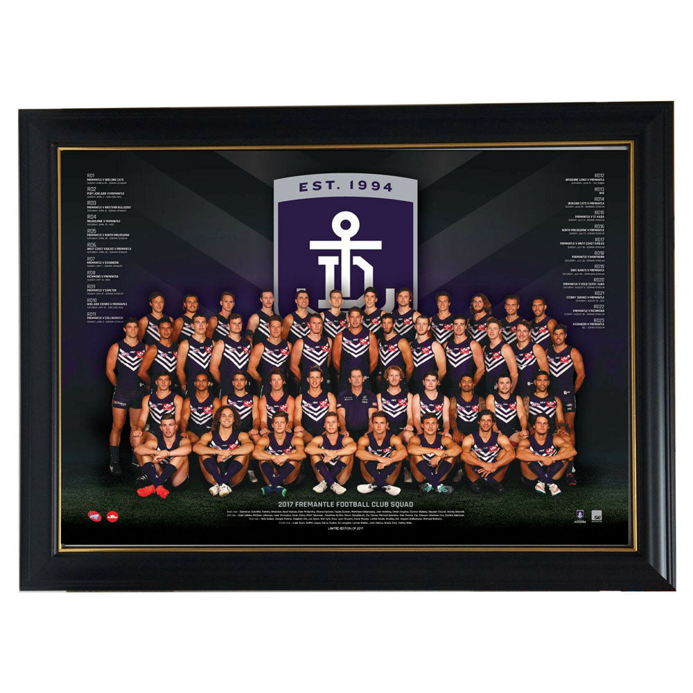 AFL 2017 Team -plakat