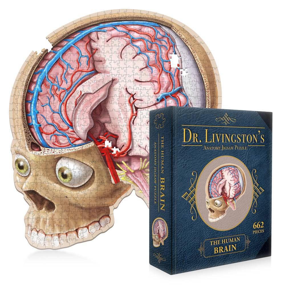 Dr Livingston's Anatomy Jigsaw Puzzle