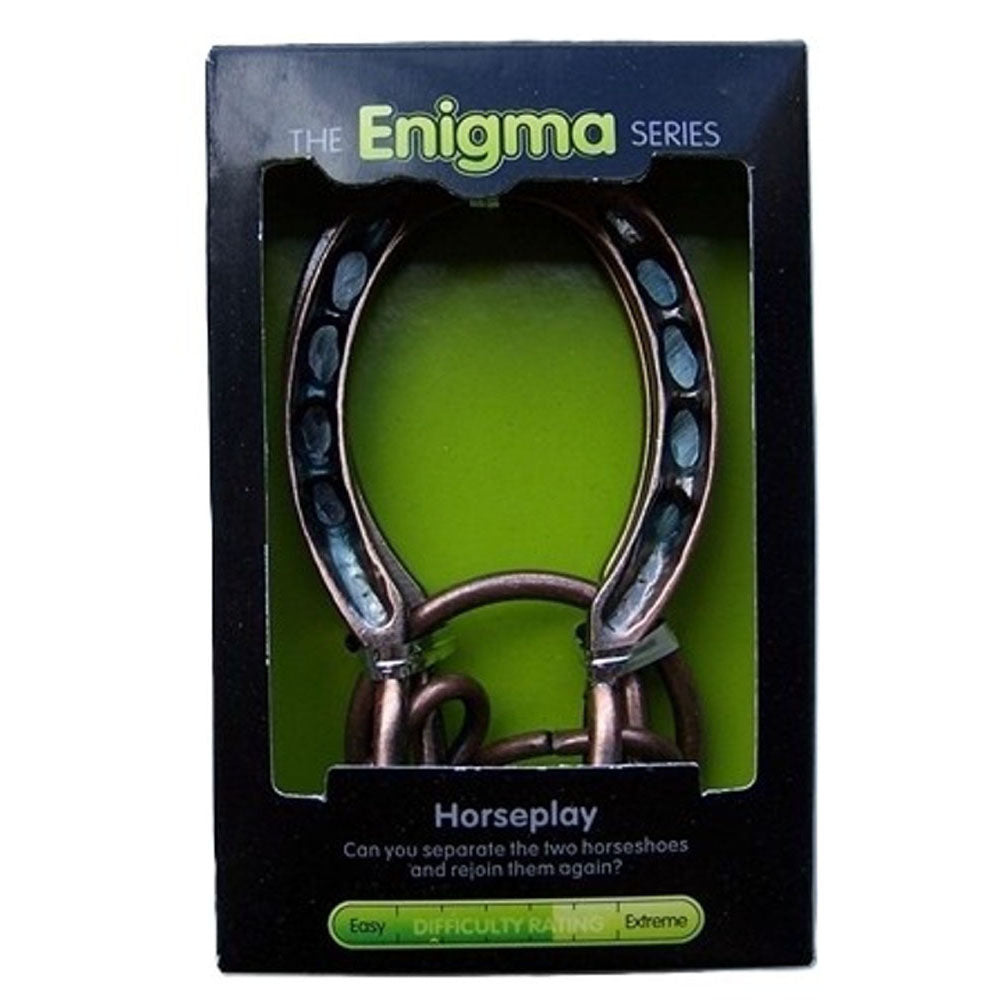 The Enigma Series Metal Puzzle