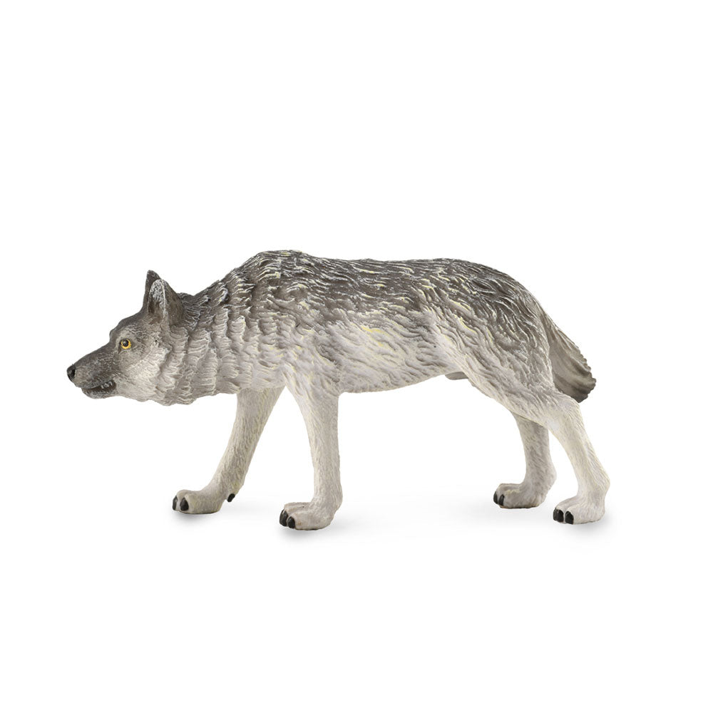 Collecta Timber Wolfフィギュア（ミディアム）