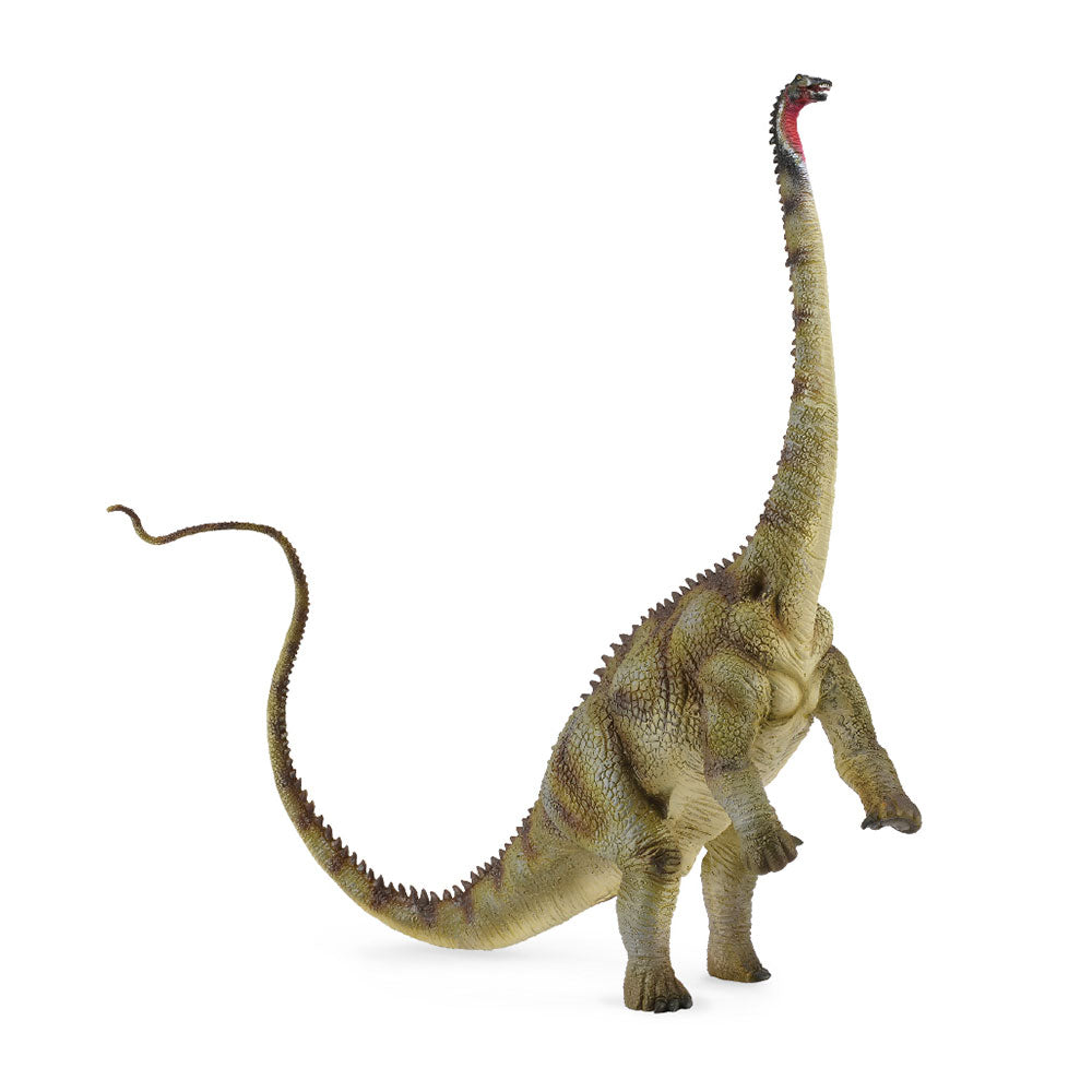 Collecta Diplodocus dinosaurfigur (ekstra stort)