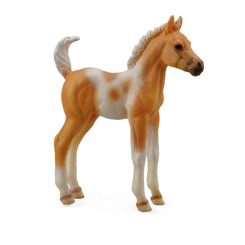 CollectA Pinto Foal Palomino Figure (Medium)