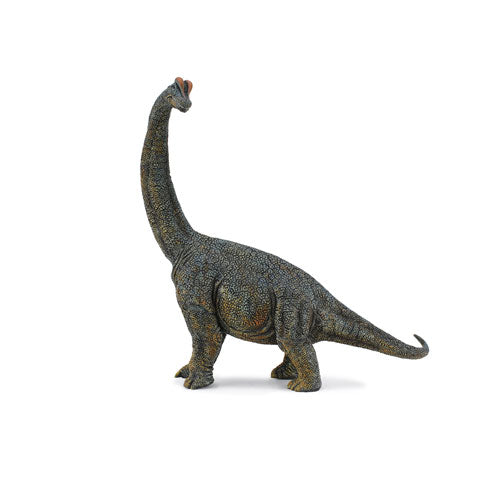 CollectA Brachiosaurus Dinosaur Figure