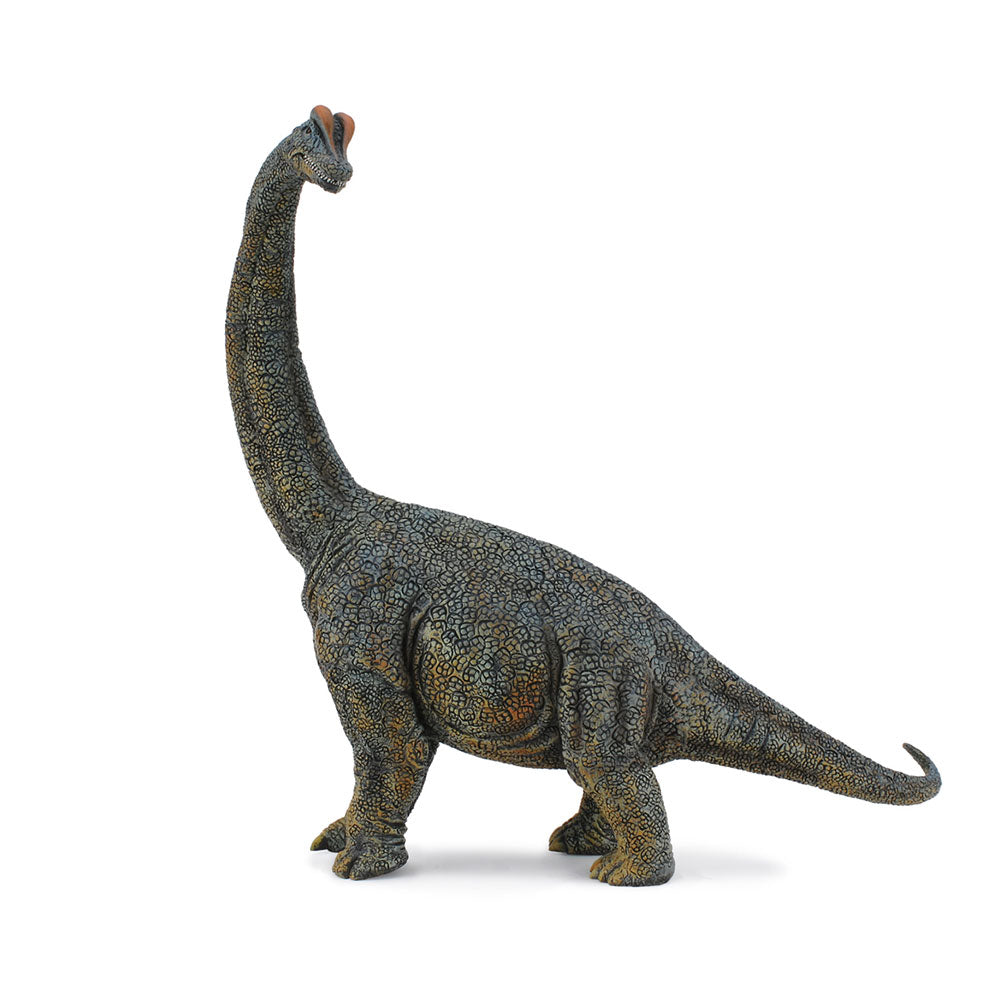 Figura de dinossauro Brachosaurus colecionada