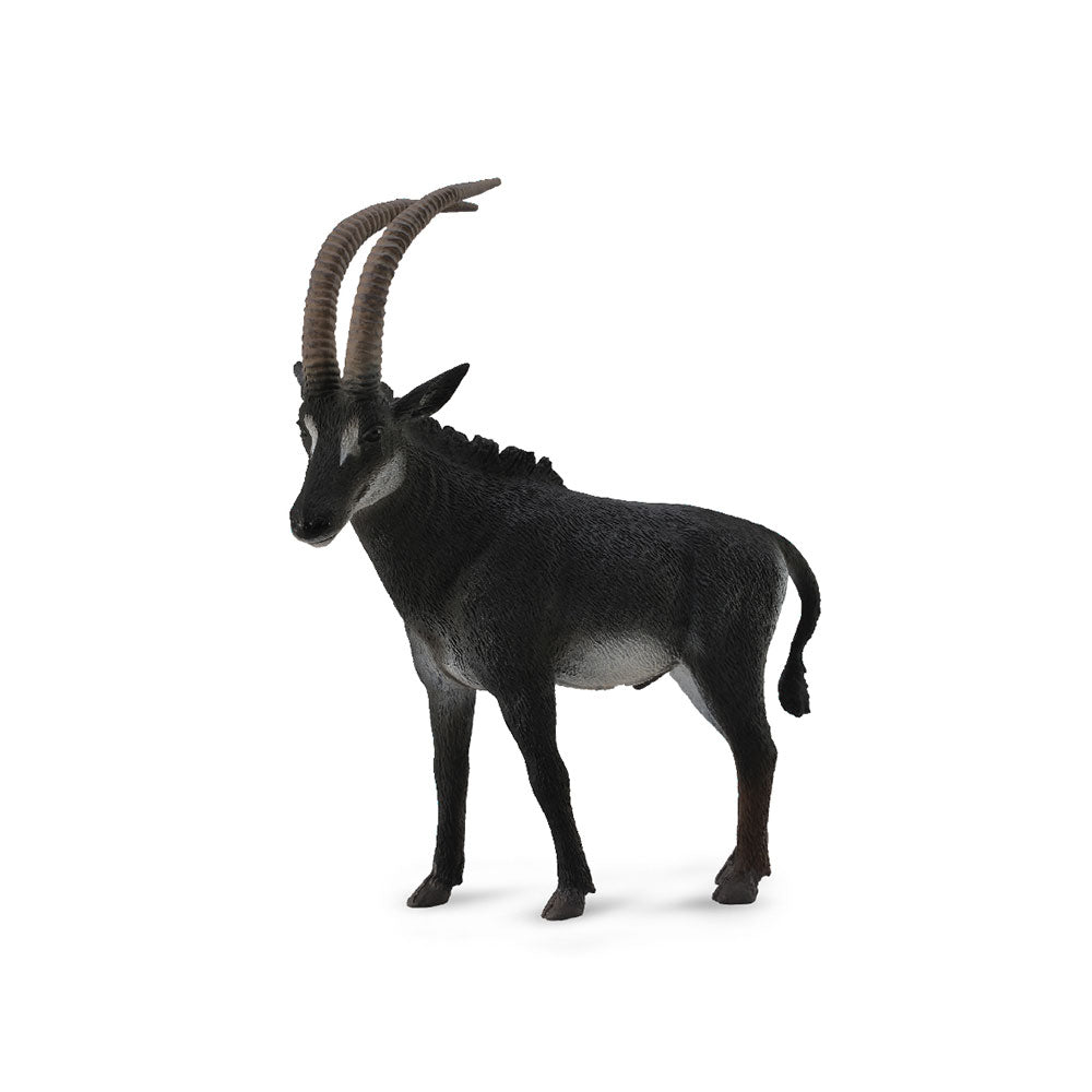 Antelope de zibelina gigante collectha (grande)