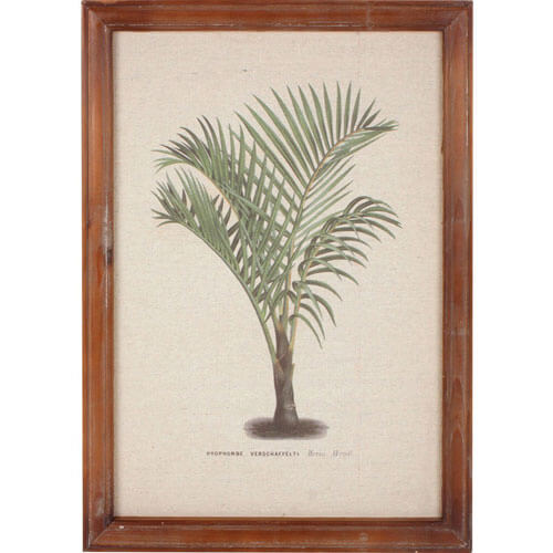 Framed Vintage Palm Wall Art (38x52x1.8cm)