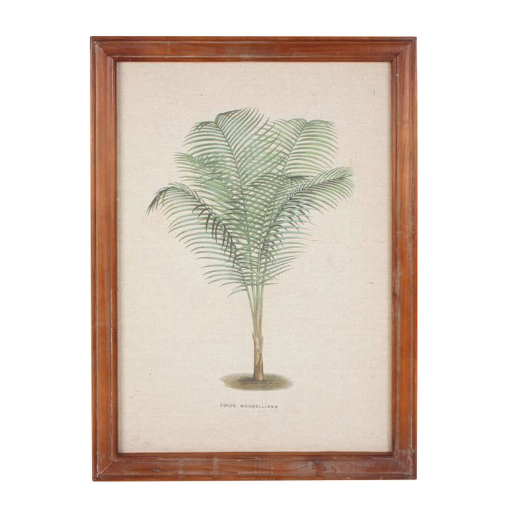 Gerahmte Vintage Palm Wall Art (38x52x1.8cm)