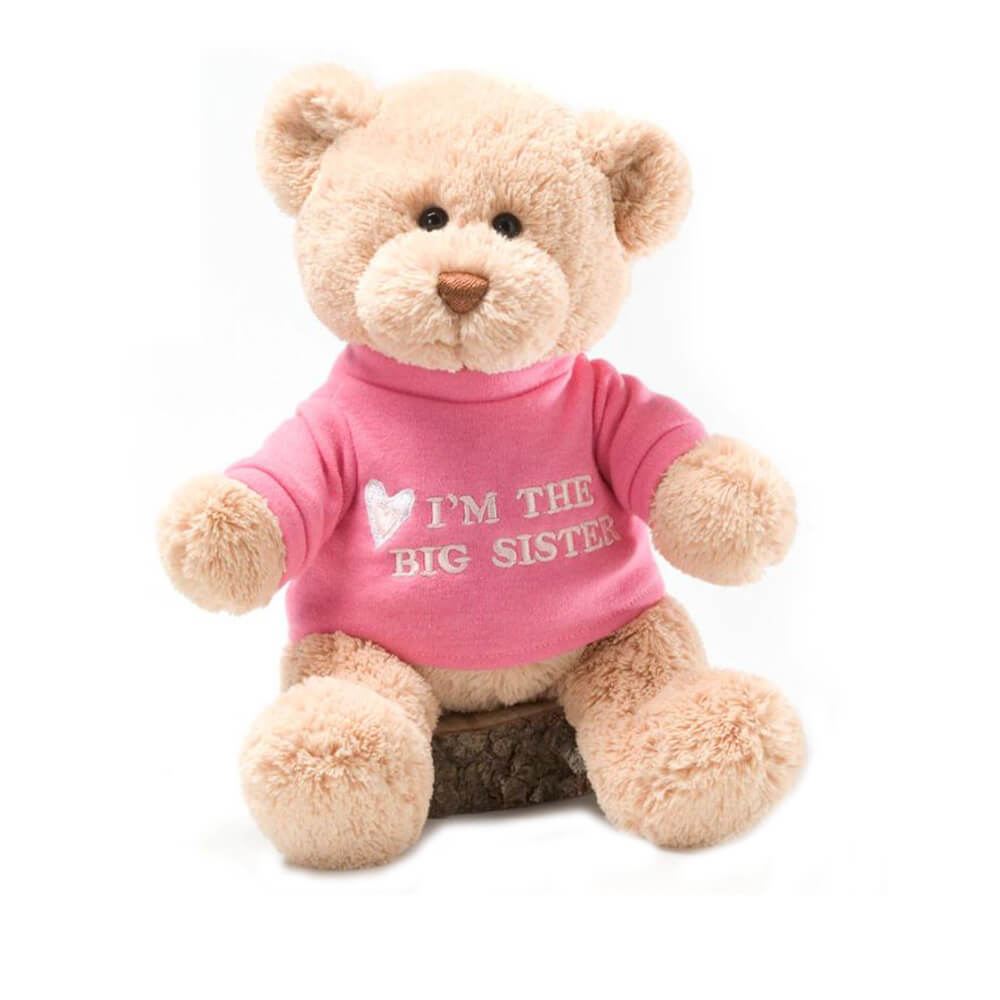 Gund Big Sister Bear (Pink)