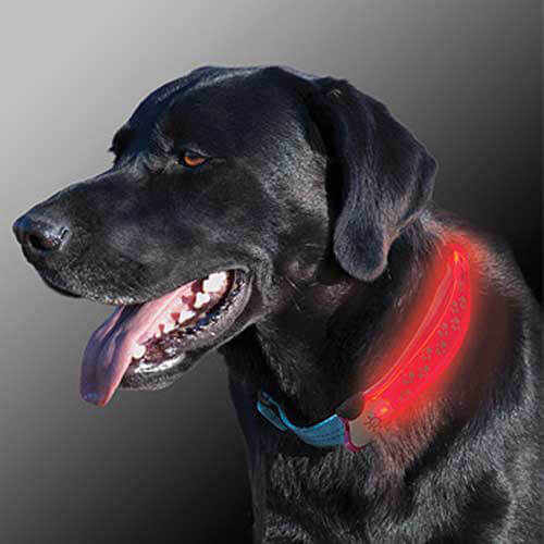 Nite Ize Nite Dawg LED Collar Cover