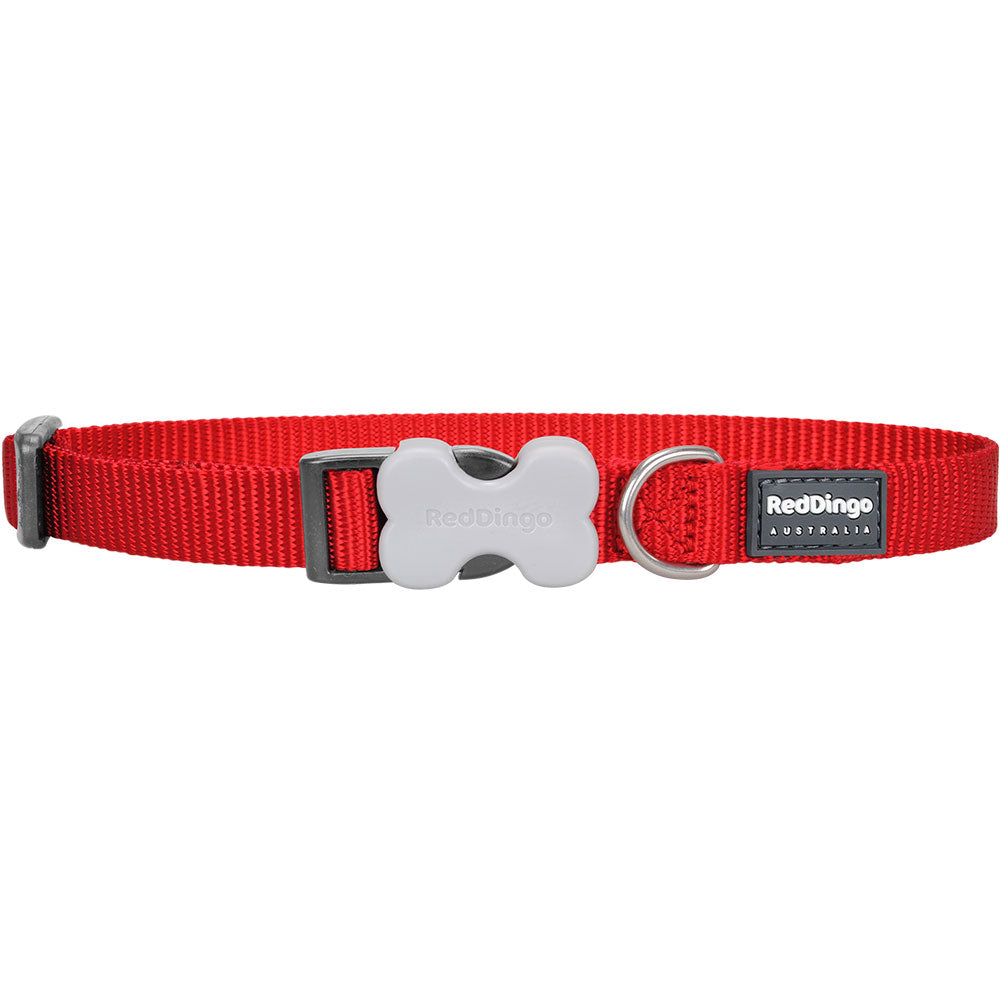 Collar per cani classico (rosso)