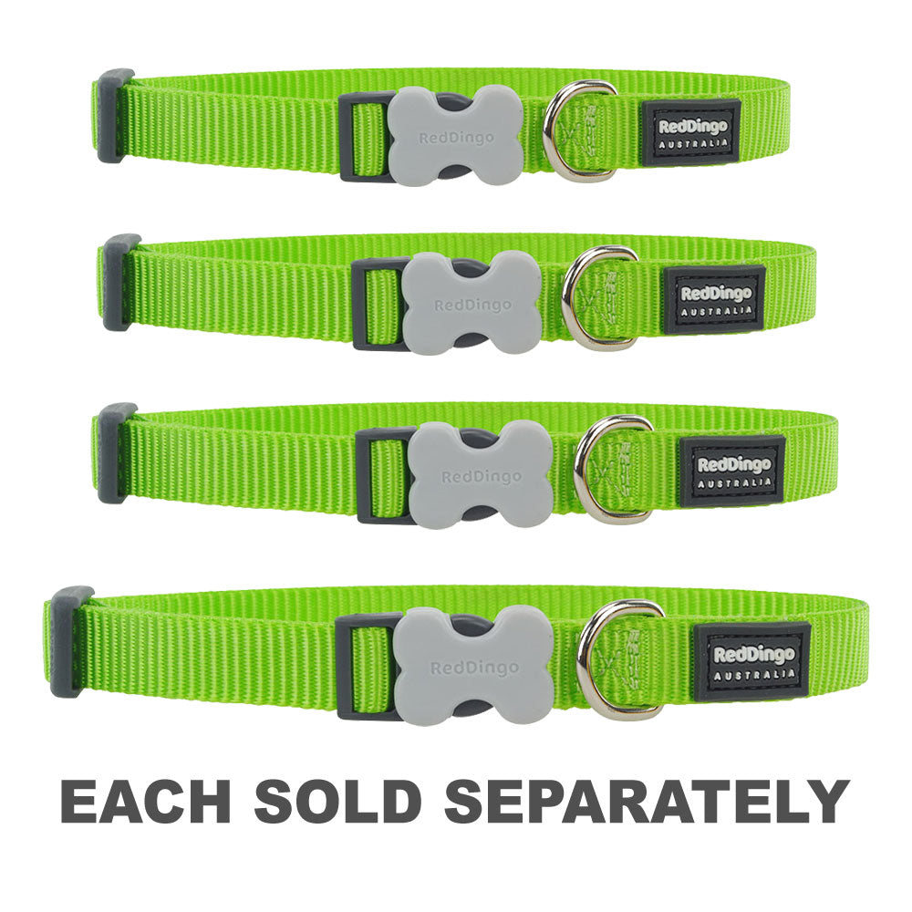 Classic Dog Collar (Lime Green)