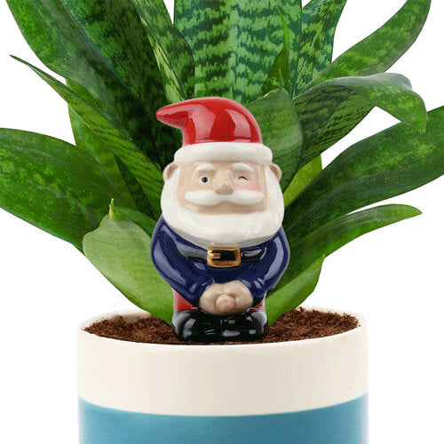 Self Watering Peeing Cheeky Gnome Planter